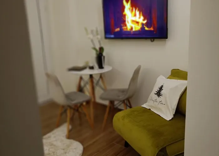 Maris Elegant Apartment *